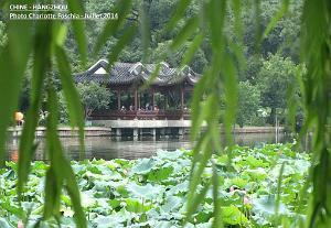 Charlotte- Hangzhou 003